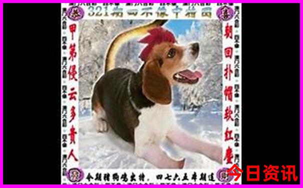 去北京玩住哪里方便景点集中